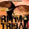 Ritmo Tribal (40 Tribal House Rhythms)