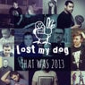 That Was 2013: Lost My Dog Records