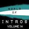 World of Intros, Vol.14 (Special DJ Tools)