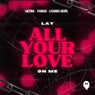 Lay All Your Love On Me (Extended Mix)