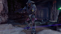 A Sangheili Commander on Sanghelios.