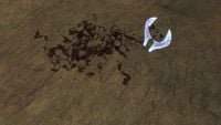 Rex spelled in rocks in Halo 2.