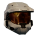 H3 Bronze Visor Icon.png