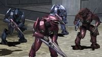 Two Minor Sangheili and two Major Sangheili, each employing a different color variation of the harness.