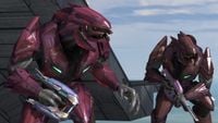 A Sangheili Major with a plasma rifle.