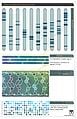 The DNA analysis chart of ORION candidate 047. The candidate seems to have received a lethal amount of dioxin poisoning.