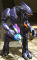 A SpecOps Sangheili wielding the Needler.