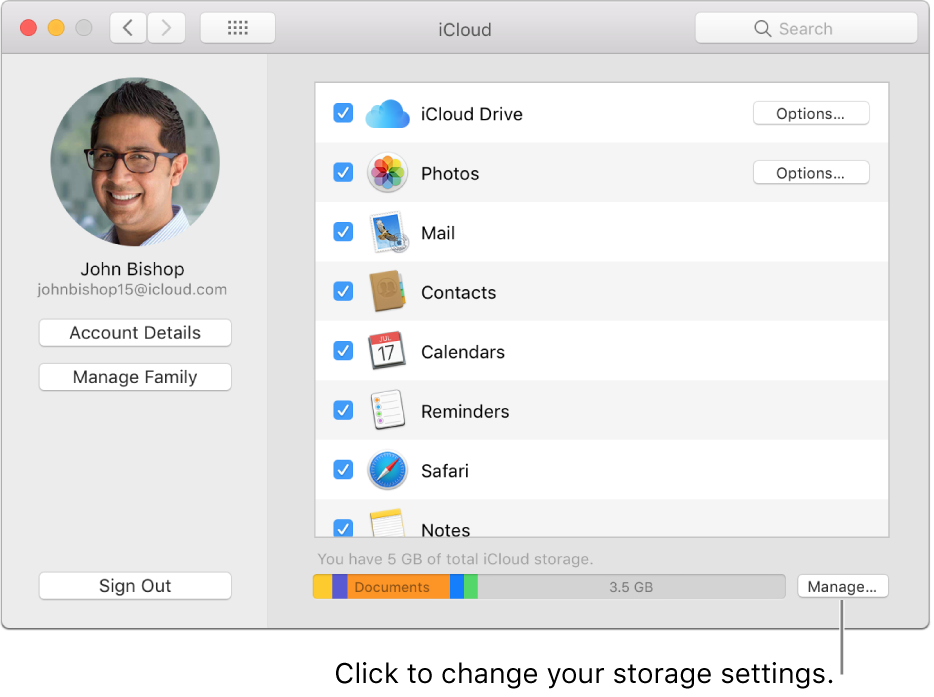 iCloud pane of System Preferences.