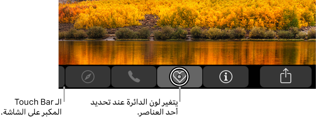 يتواجد Touch Bar الذي تم تكبيره على طول الجانب السفلي من الشاشة؛ تتغير الدائرة التي توجد حول زر عندما يتم تحديد الزر.