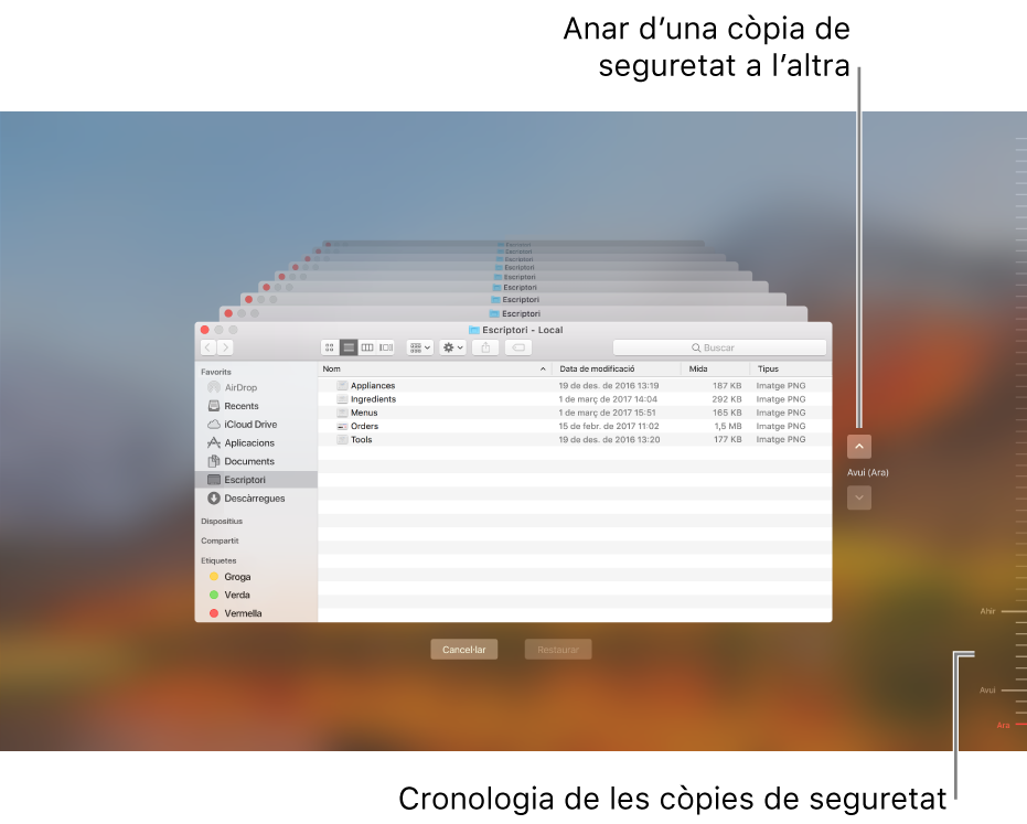 Quan obris el Time Machine, veuràs una pantalla difuminada amb diverses pantalles del Finder apilades que representen les còpies de seguretat. Fes clic a les fletxes per desplaçar-te per les còpies de seguretat (o fes clic a la cronologia de les còpies de seguretat, a la dreta) i selecciona quins arxius vols restaurar.