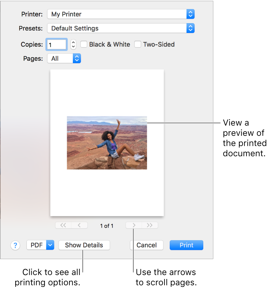 Icons in the Printer pop-up menu indicate the printer’s status. The Print dialog shows a small preview of your print job. Click the Show Details button to see all print options.