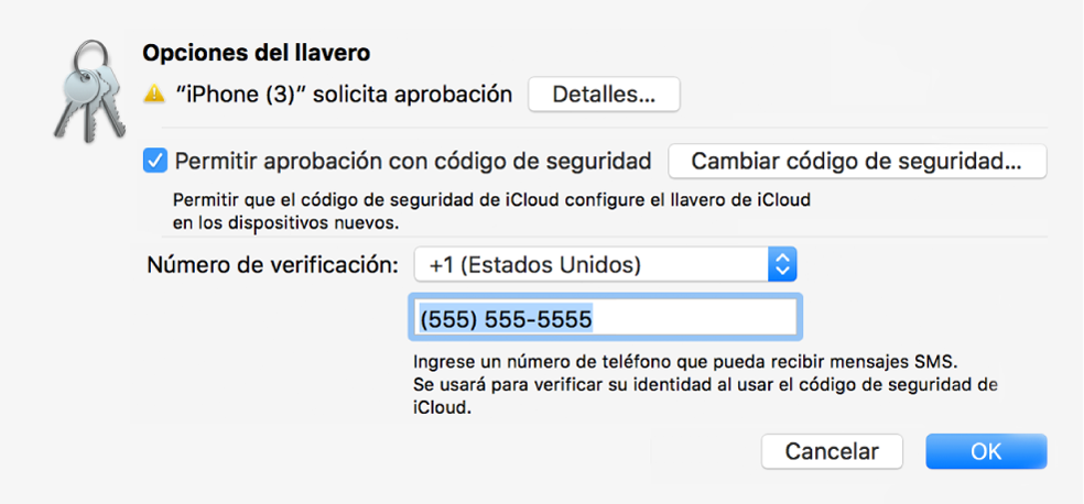 El cuadro de diálogo “Opciones del llavero de iCloud” con el nombre del dispositivo que solicita aprobación y el botón Detalles junto a él.