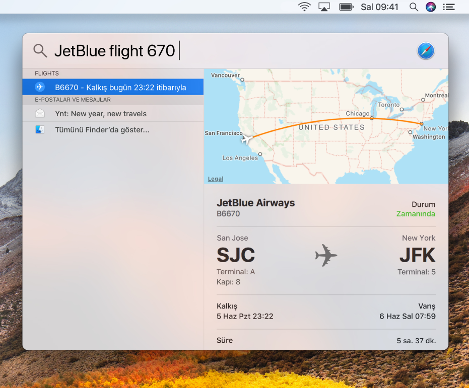 Uçuş durumu sonuçlarını gösteren Spotlight penceresi.