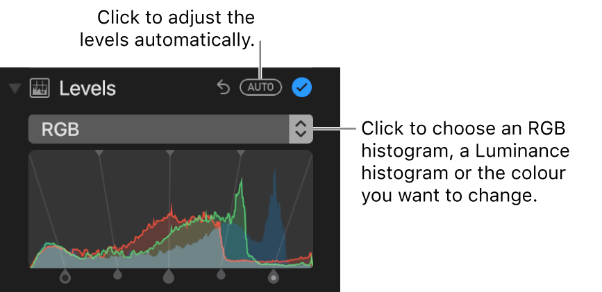 The Levels controls with the Auto button at the top right.