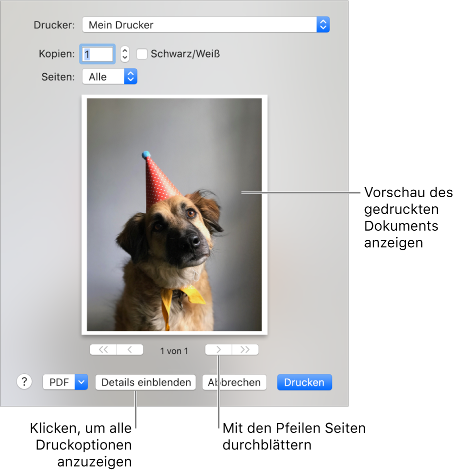 Im Einblendmenü „Drucken“ wird der Status eines Druckers durch Symbole veranschaulicht. Das Dialogfenster „Drucken“ enthält eine kleine Vorschau deines Druckauftrags. Klicke auf „Details einblenden“, um alle Druckoptionen zu sehen.