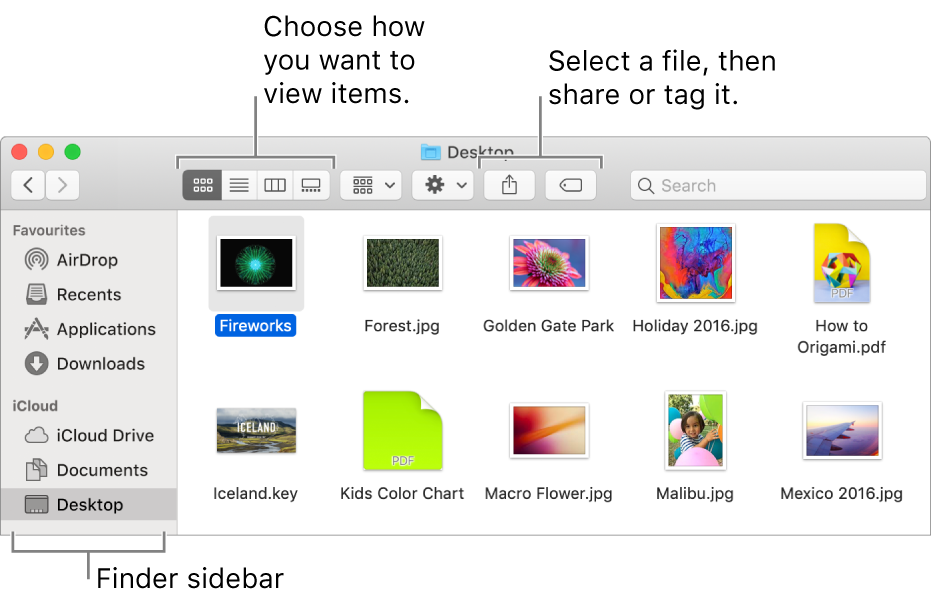 A Finder window with the Finder sidebar on the left. At the top left of the window are four buttons that you click to change the way you view items in the Finder window. To the right are two buttons that you click to share or tag selected files.