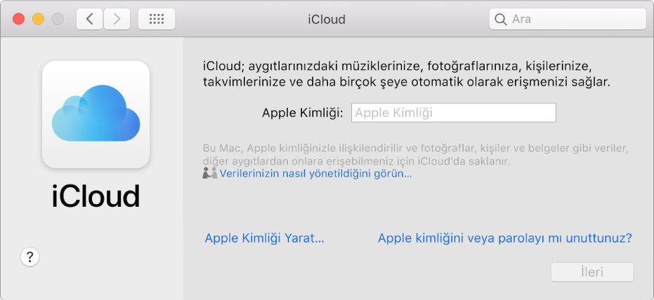 Apple kimliği ve parolası girişi için hazır iCloud tercihleri.