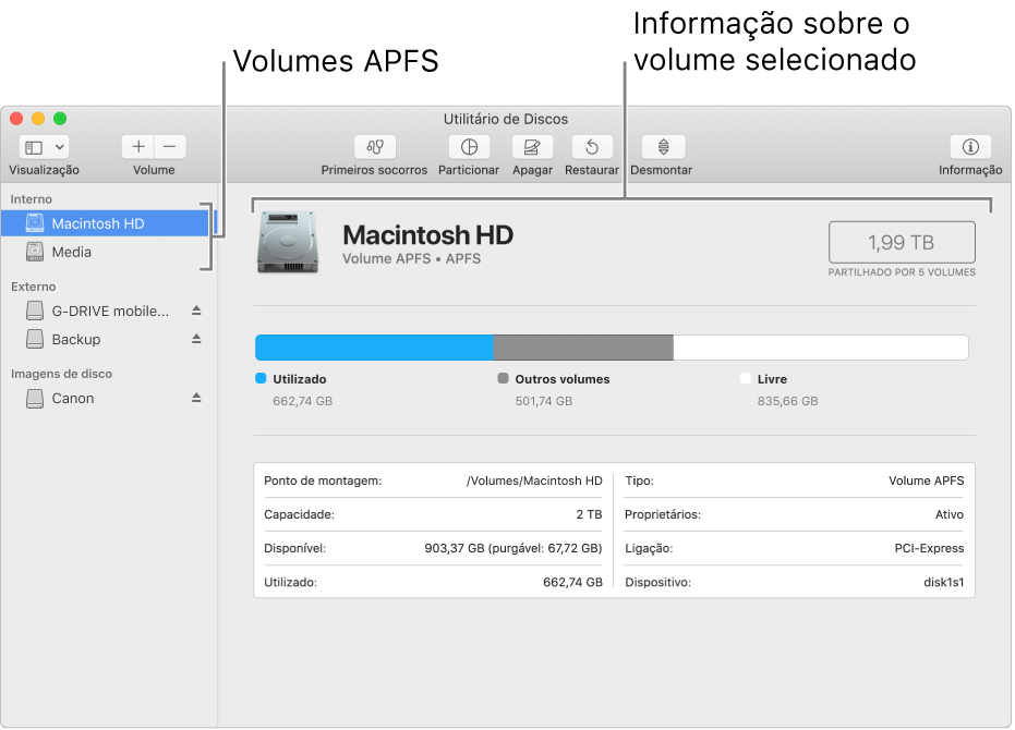 Um volume APFS na barra lateral, a mostrar a informação do volume.