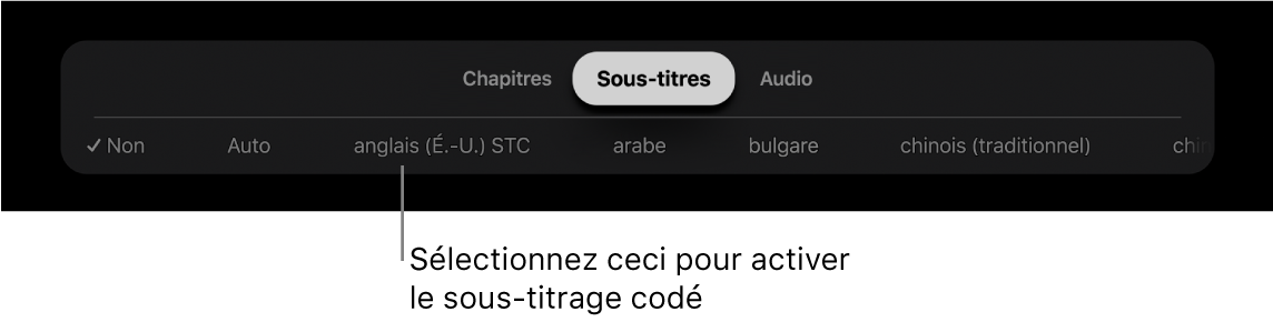 Menu Sous-titres pendant la lecture