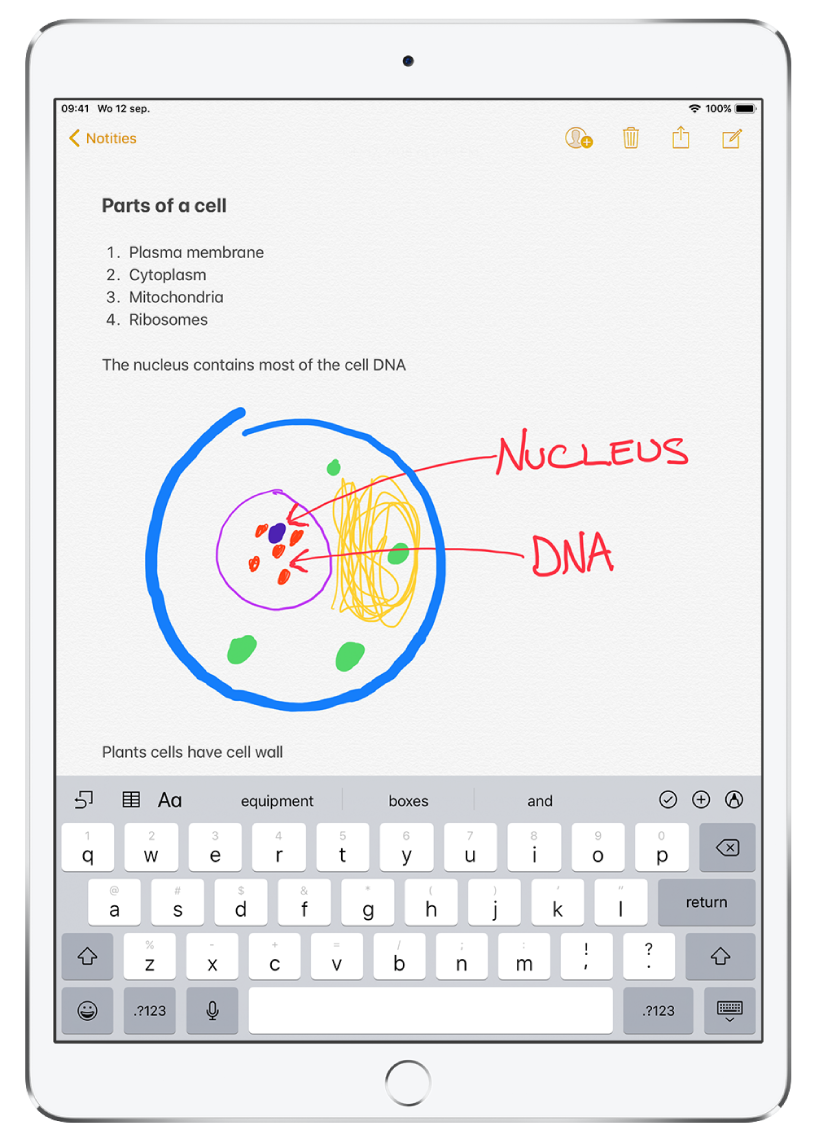 Een notitie die is geopend in de Notities-app. Boven aan de notitie is de titel "Parts of a cell" getypt. Onder de titel staat een genummerde lijst met delen van de cel zoals "plasma membrane", "cytoplasm", "mitochondria" en "ribosomes". Onder de genummerde lijst staat een tekening van een cel van een plant, gevolgd door getypte notities. Onder in het scherm bevindt zich het toetsenbord.