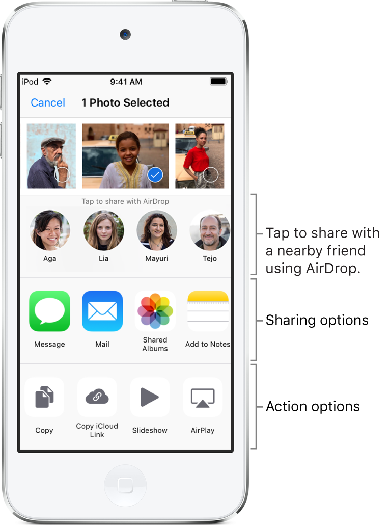 The AirDrop Share screen. At the top are photos to select and share. Below that are people you can share with using AirDrop. The next row shows sharing options, including Message, Mail, Shared Albums, and more. The bottom row shows other actions, including Copy Link, Slideshow, and Add to Album.