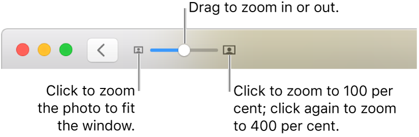 The toolbar showing zoom controls.