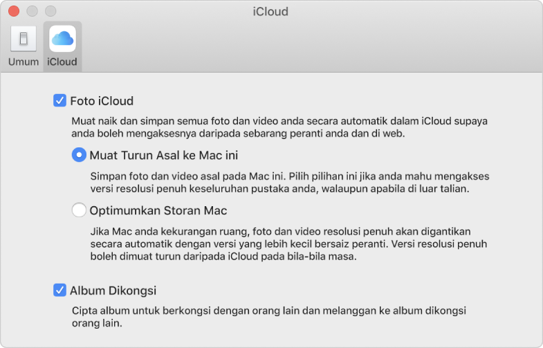 Anak tetingkap iCloud pada keutamaan Foto.