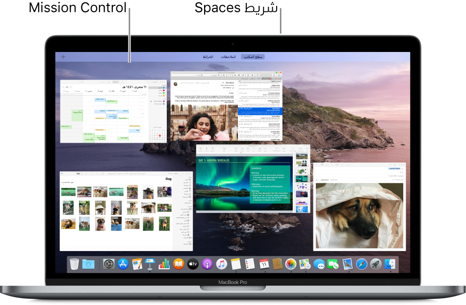 عدة نوافذ مفتوحة مرتبة في طبقة واحدة في Mission Control، مع وجود شريط Spaces في الجزء العلوي من الشاشة.