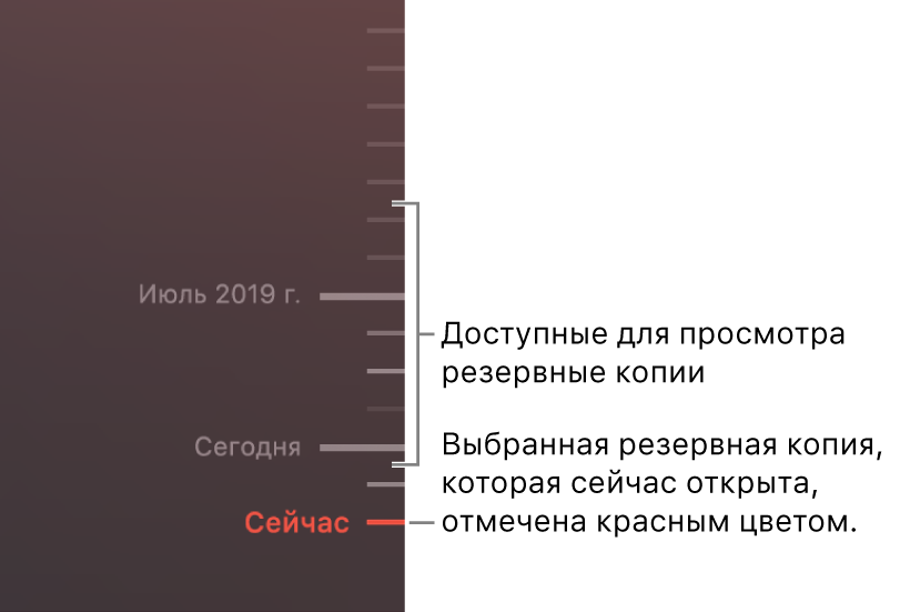 Деления на шкале времени резервного копирования. Красной галочкой помечена та резервная копия, которую Вы просматриваете.