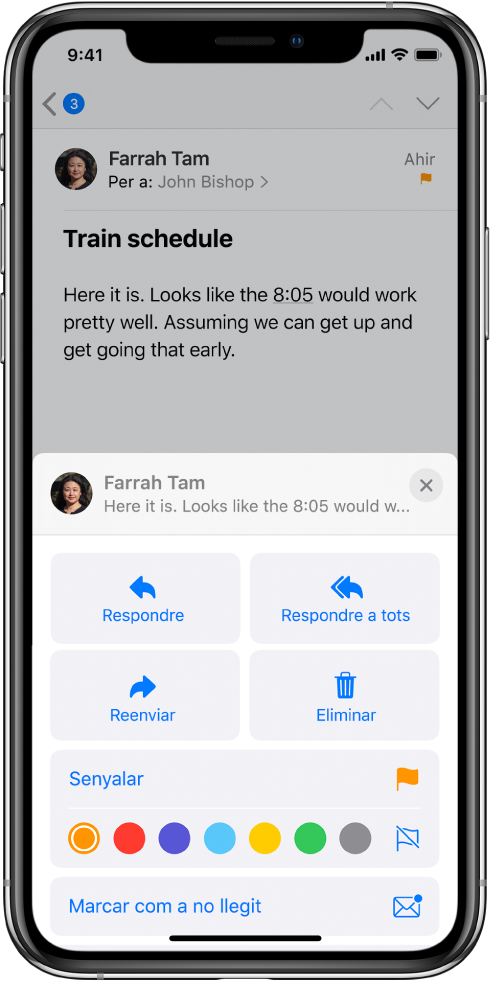 Correu electrònic amb les opcions de resposta a la part inferior. A sota d’aquestes opcions hi ha les opcions del color per als senyals.