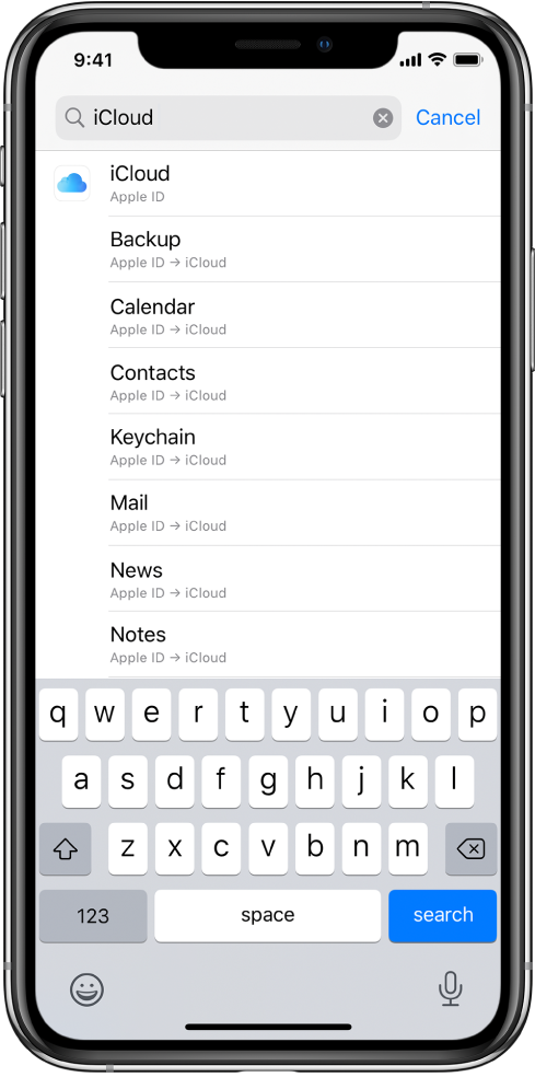 The search settings screen, with the search field at the top. The search term “iCloud” is in the search field, and the found settings are in the list below.