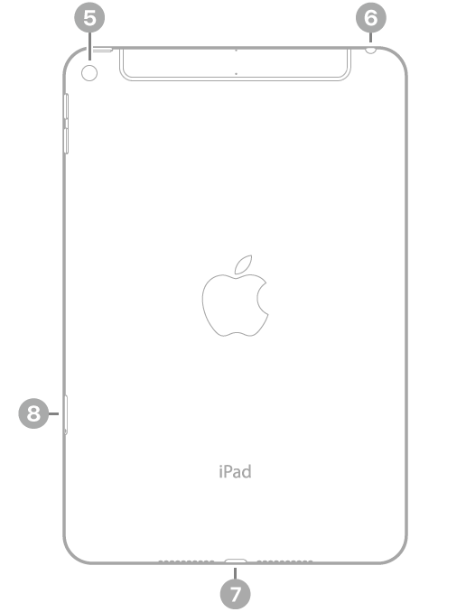 The back view of iPad with callouts going clockwise from the top left: rear camera, headphone jack, Lightning connector, and SIM tray (Wi-Fi   Cellular).