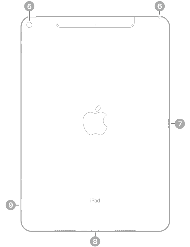 The back view of iPad with callouts going clockwise from the top left: rear camera, headphone jack, Smart Connector, Lightning connector, and SIM tray (Wi-Fi   Cellular).