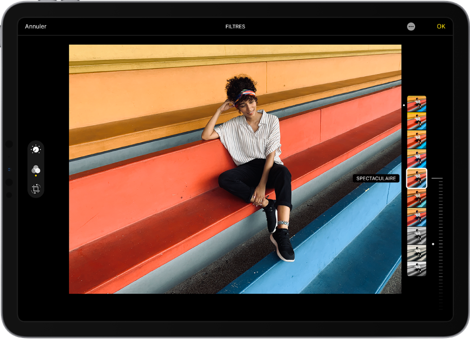 L’écran Modifier avec une photo au centre. À gauche de la photo se trouvent les boutons Modifier, Filtres et Recadrer ; le bouton Filtres est sélectionné. À droite de la photo se trouvent les options de filtres et un curseur permettant d’ajuster le niveau de l’effet de filtre. Dans le coin supérieur gauche se trouve le bouton Annuler et dans le coin supérieur droit se trouvent les boutons « Plus d’options » et OK.