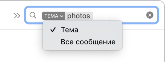 Для фильтра поиска, на котором нажата стрелка вниз, отображаются два варианта: «Тема» и «Все сообщение». Пользователь выбирает вариант «Тема».