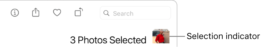 A selection indictor showing three photos selected.