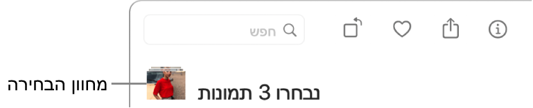 מחוון בחירה המציג ששלוש תמונות נבחרו.