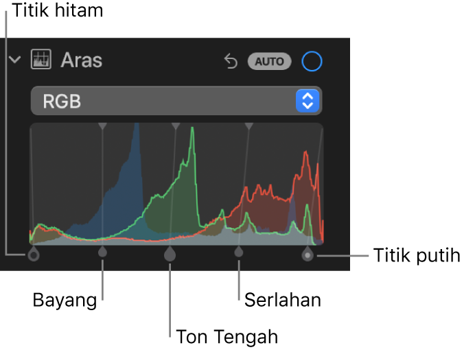 Kawalan Aras dalam anak tetingkap Laras, menunjukkan histogram RGB dengan pemegang di bawah, termasuk (dari kiri ke kanan) titik hitam, bayang, ton tengah, serlahan dan titik putih.