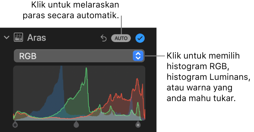 Kawalan Aras dalam anak tetingkap Laras, dengan butang Auto di bahagian kanan atas dan histogram RGB di bawah.