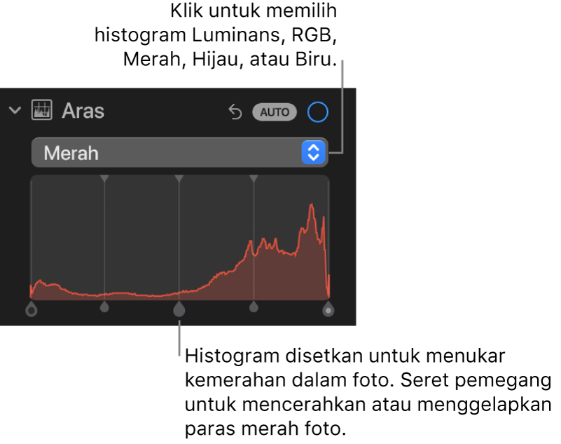 Kawalan Aras dalam anak tetingkap Laras, menunjukkan histogram Merah dengan pemegang di bawah untuk melaraskan paras merah foto.