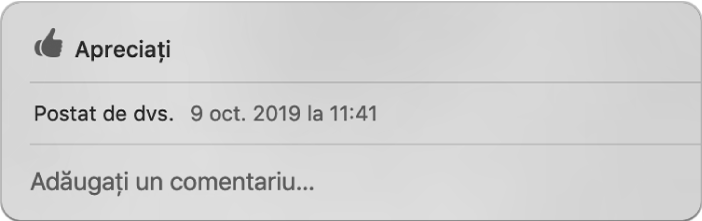 Fereastră care afișează opțiunile de apreciere și comentarii pentru o poză partajată.