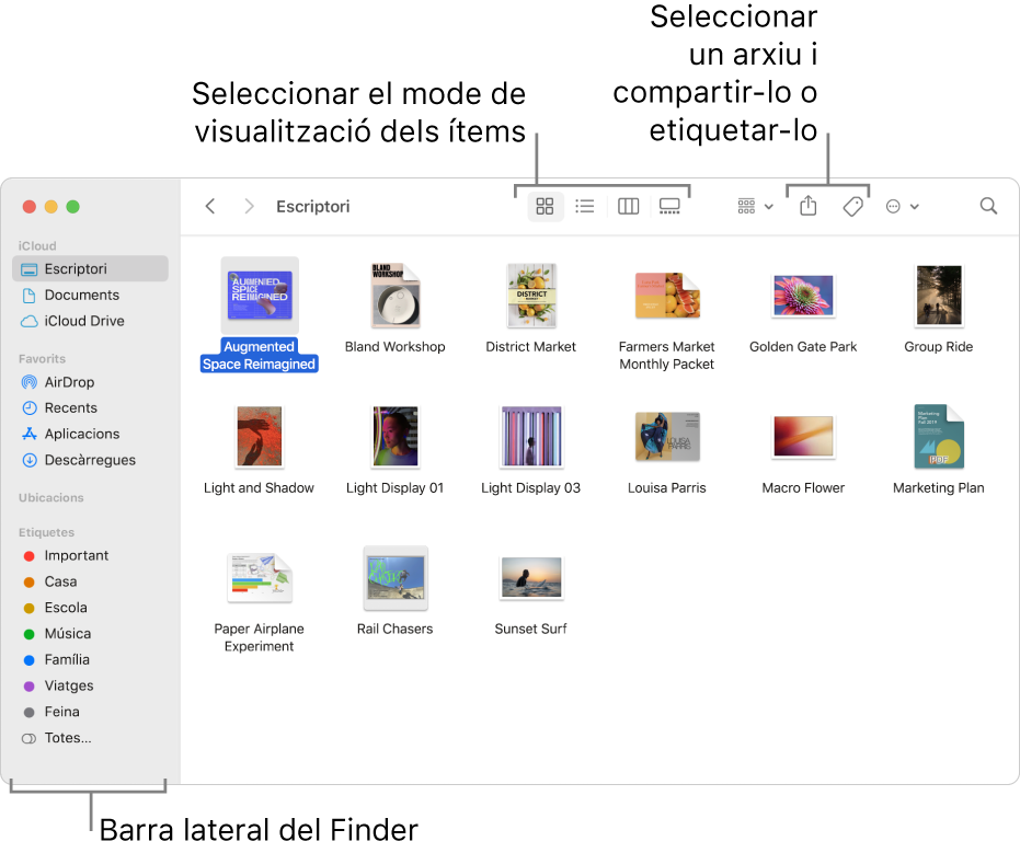 Una finestra del Finder amb la barra lateral del Finder a l’esquerra. A la part superior de la finestra hi ha quatre botons que serveixen per canviar la manera en què es mostren els ítems a la finestra, i botons addicionals per organitzar-los i compartir-los.