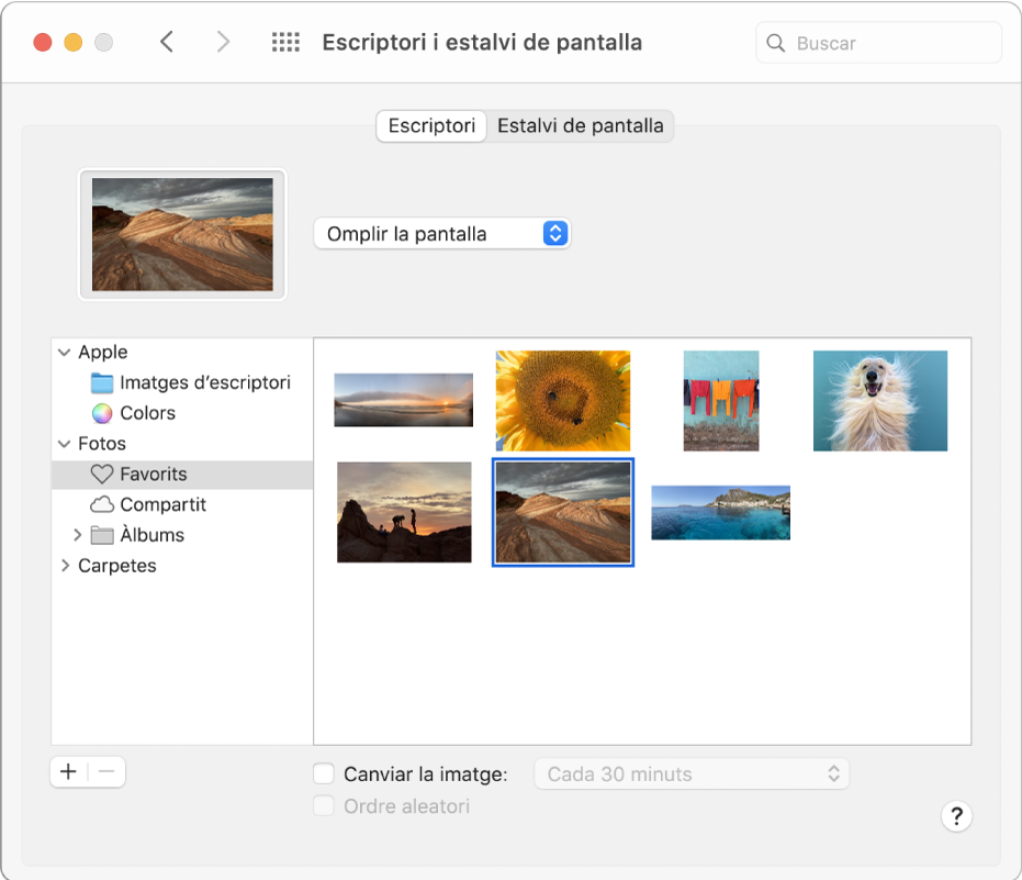 La secció Escriptori de les Preferències del Sistema.