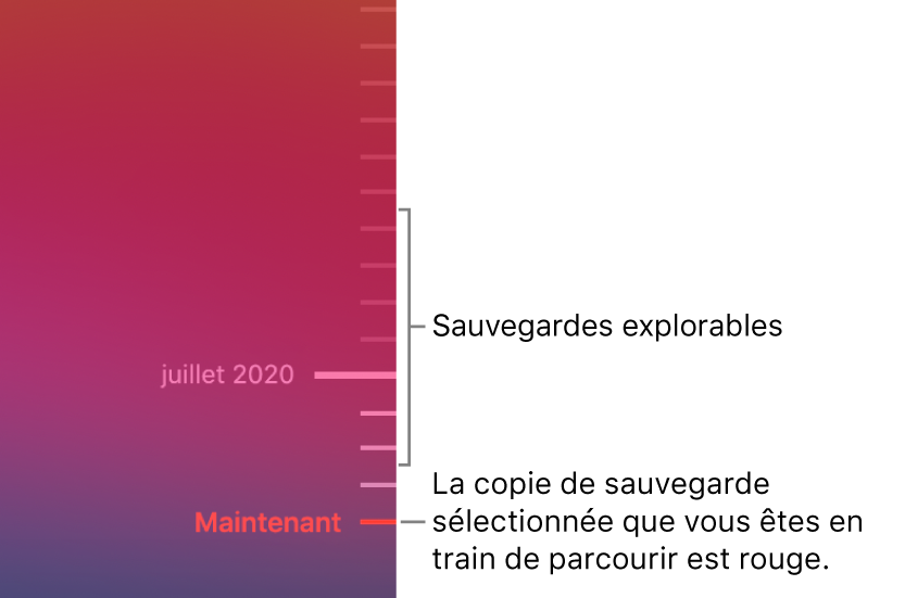 Graduations de la chronologie de sauvegarde. La gradation rouge indique la sauvegarde que vous consultez.