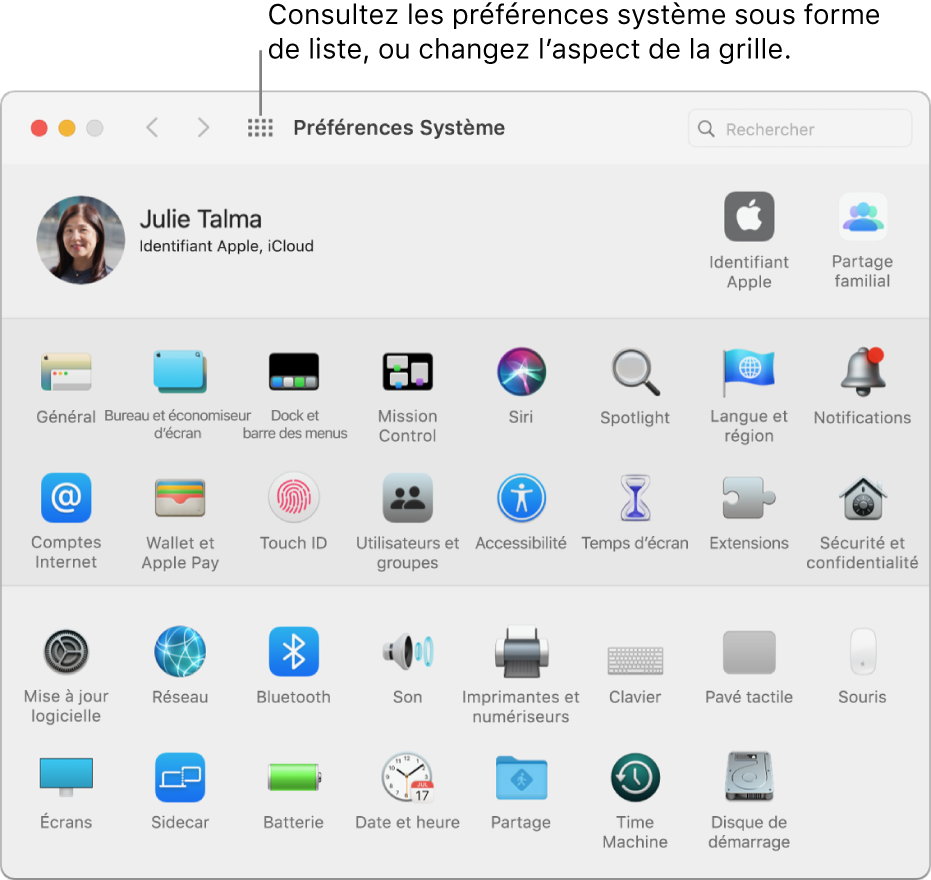 La grille d’icônes dans la fenêtre de Préférences Système. Cliquez sur le bouton Tout afficher dans la barre d’outils de la fenêtre pour afficher les préférences système sous forme de liste, ou pour changer l’aspect de la grille.