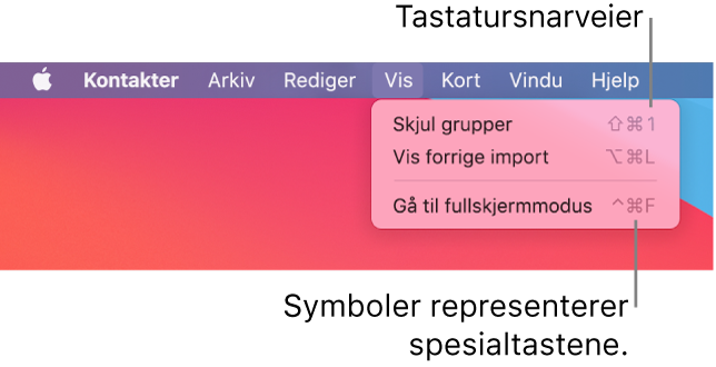 Safari-programmet med Arkiv-menysnarveien trekkes frem