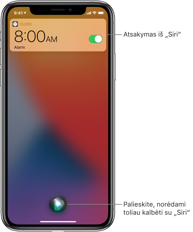 „Siri“ užrakinimo ekrane. Programos „Clock“ pranešimas rodo, kad žadintuvas nustatytas skambėti 8:00 val. Mygtukas ekrano centre apačioje naudojamas pokalbiui su „Siri“ tęsti.