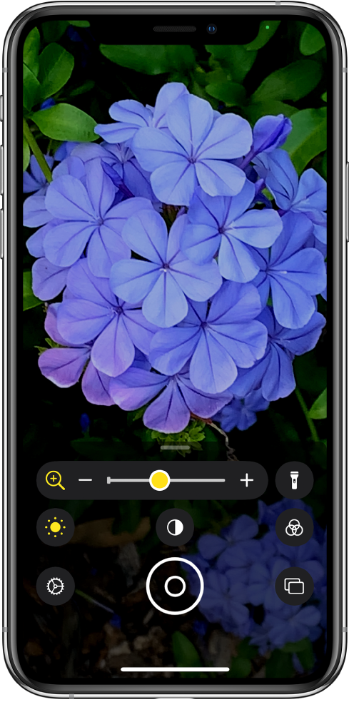 „Magnifier“ ekranas, kuriame pavaizduota priartinta gėlė.