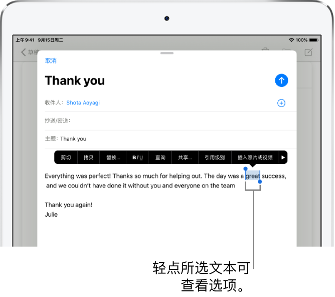 一个电子邮件示例，其中一些文本已被选定。所选内容上方是“剪切”、“拷贝”、“粘贴”以及“替换”按钮。所选文本会高亮显示，控制柄位于两端。