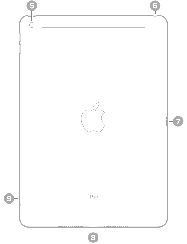 The back view of iPad with callouts going clockwise from the top left: rear camera, headphone jack, Smart Connector, Lightning connector, and SIM tray (Wi-Fi   Cellular).